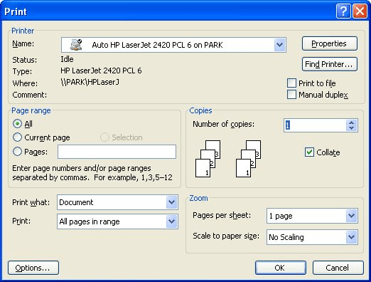 how to print selected text on windows