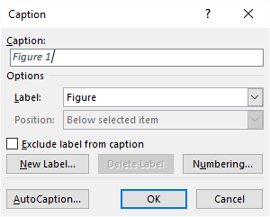 Adding Caption Labels (Microsoft Word)