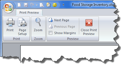 print preview not displaying information for excel mac air