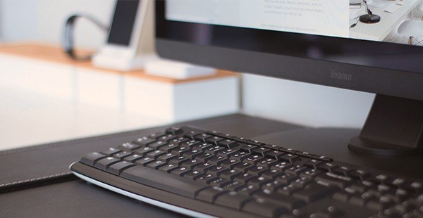 Inserting A Multi Page PDF File In A Word Document Microsoft Word 